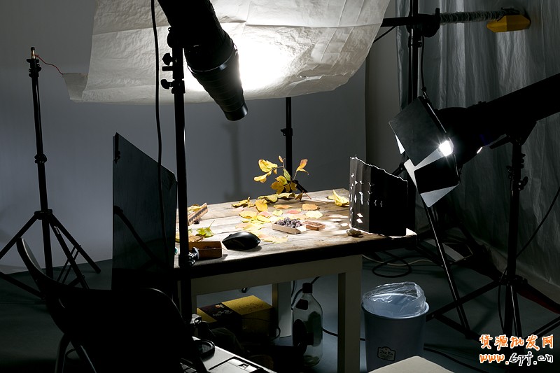 T2014082113152311638_800533[1]