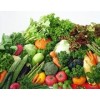 采購(gòu)高性價(jià)綠色蔬菜就找神喻王，供應(yīng)綠色蔬菜