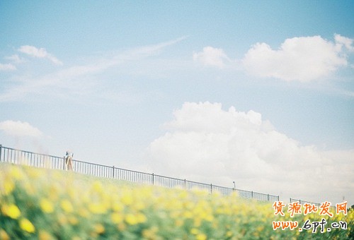 0基礎教學-最全面的標題優化技巧1