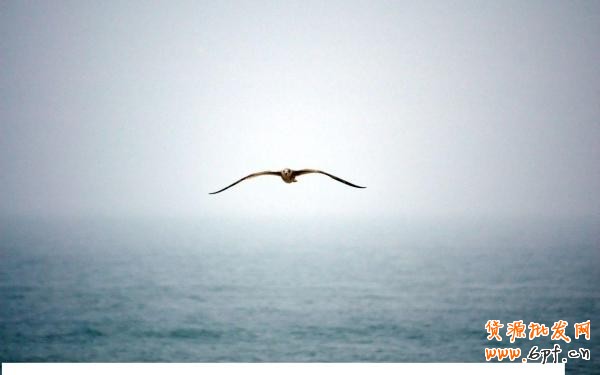 視覺(jué)營(yíng)銷(xiāo):針對(duì)網(wǎng)店運(yùn)營(yíng)有不可估量的作用 4