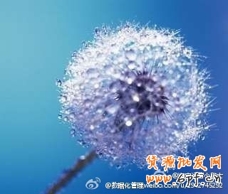 自毀社會(huì)化口碑營(yíng)銷(xiāo)的幾種方式