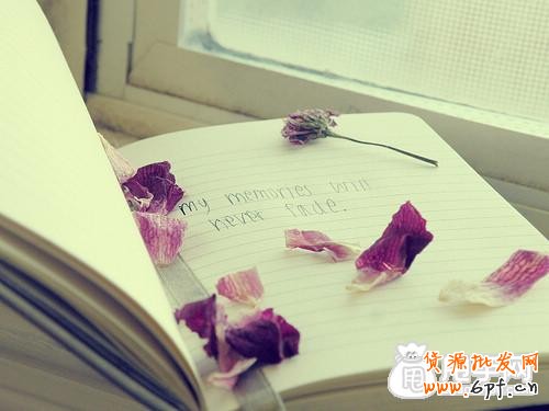 一個小賣家的刷單日記