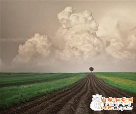 這個時代電商運營已經忘記了初心！