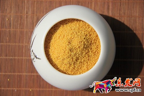 小賣(mài)家如何用手機(jī)拍出好的產(chǎn)品圖