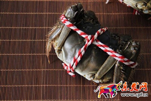 小賣(mài)家如何用手機(jī)拍出好的產(chǎn)品圖