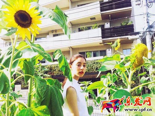 淘寶新手賣(mài)家開(kāi)店