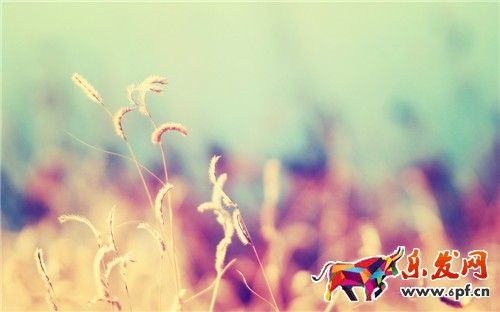 網(wǎng)店優(yōu)化