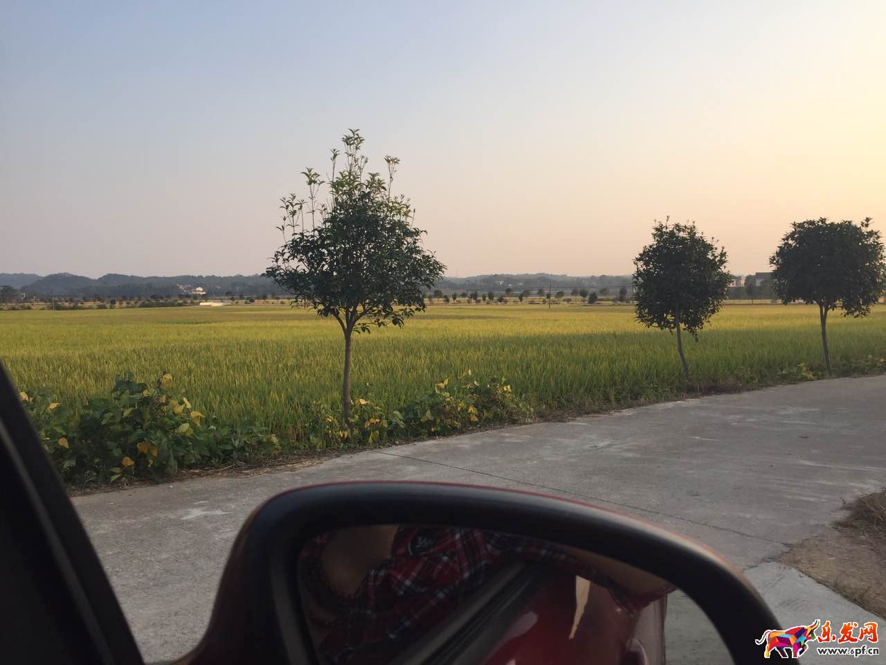 假微信客服詐騙