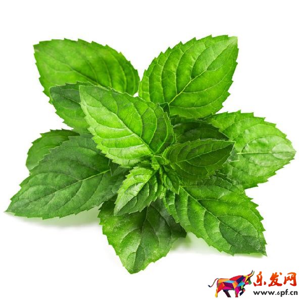 ps海報設計 淘寶海報 ps海報設計 淘寶海報