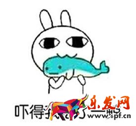 芝麻信用 芝麻信用