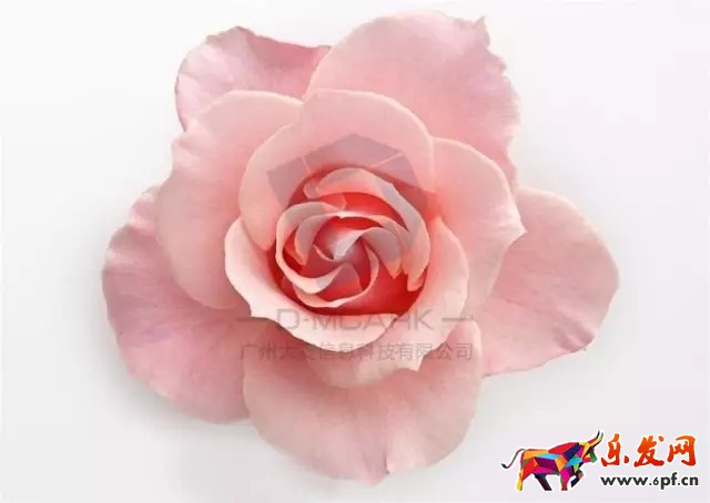 38天貓女王節(jié)