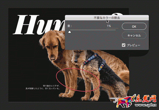 怎么用ps摳圖 怎么用ps摳圖