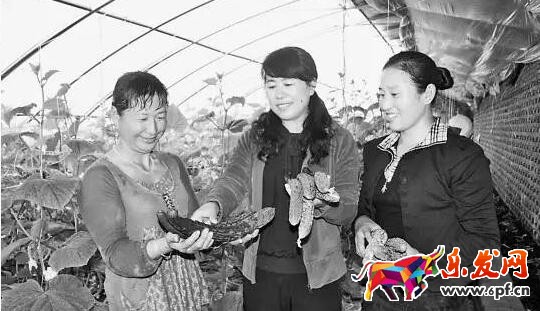 淘寶故事 淘寶故事