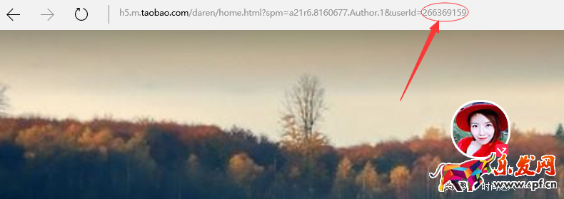 淘寶達人id在哪里