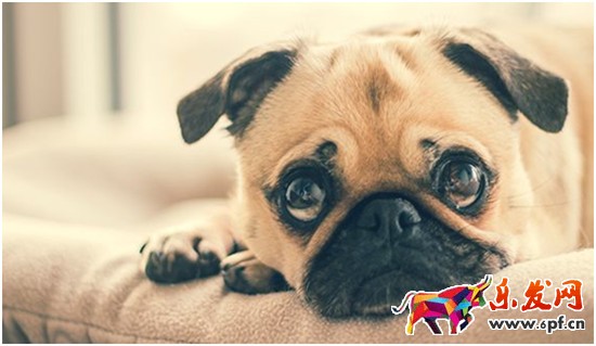 速賣通營銷技巧 速賣通營銷技巧