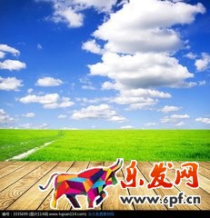 什么是淘寶主圖 什么是淘寶主圖