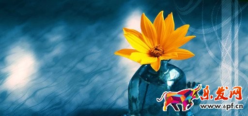 手機淘寶店招圖片如何設置 手機淘寶店招圖片如何設置