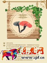 淘寶店鋪怎么做詳情頁(yè) 淘寶店鋪怎么做詳情頁(yè)
