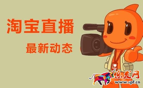 雙十一主播天團活動的要求