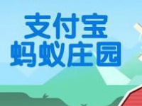 螞蟻莊園怎么防止搶食？支付寶螞蟻莊園怎么養(yǎng)小雞？