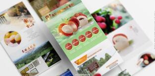 拼多多新店經驗分享