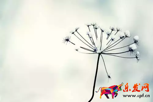 淘寶開鞋店賺錢嗎？如何做好店鋪？