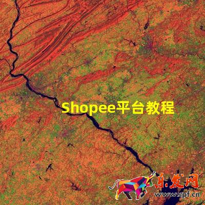 Shopee平臺(tái)教程:Shopee怎么開(kāi)店?Shopee如何開(kāi)店鋪呢?
