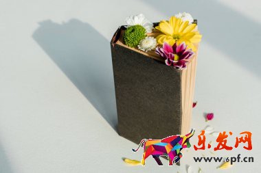 小紅書入駐費(fèi)用是多少(圖4) 小紅書入駐費(fèi)用是多少(圖4)