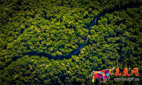 運營實操,Lazada如何入駐LazMall店鋪？和普通店鋪有什么區別？