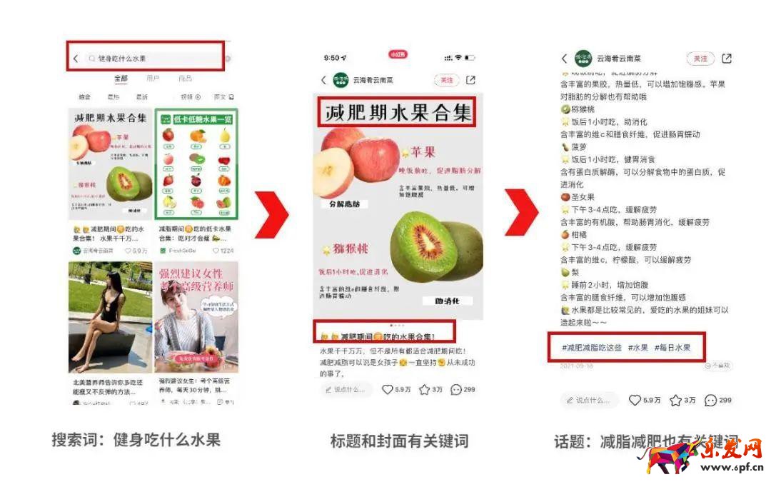 小紅書蒲公英平臺入口