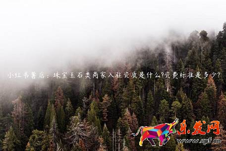 小紅書薯店：珠寶玉石類商家入駐資質(zhì)是什么?資費標(biāo)準(zhǔn)是多少?