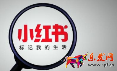 2023小紅書(shū)店鋪入駐條件及收費(fèi)標(biāo)準(zhǔn)分享