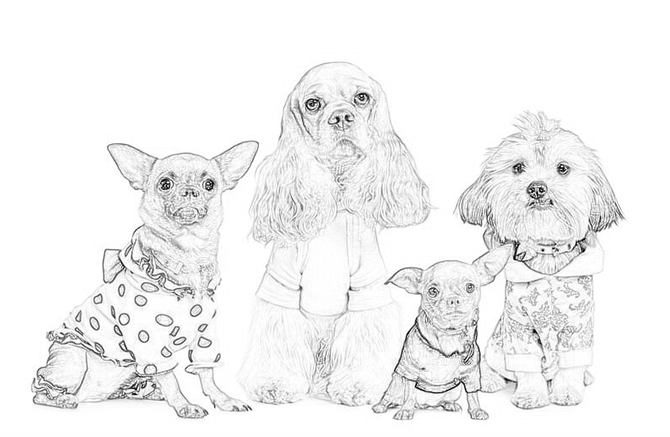 PS快速把照片處理成素描的效果